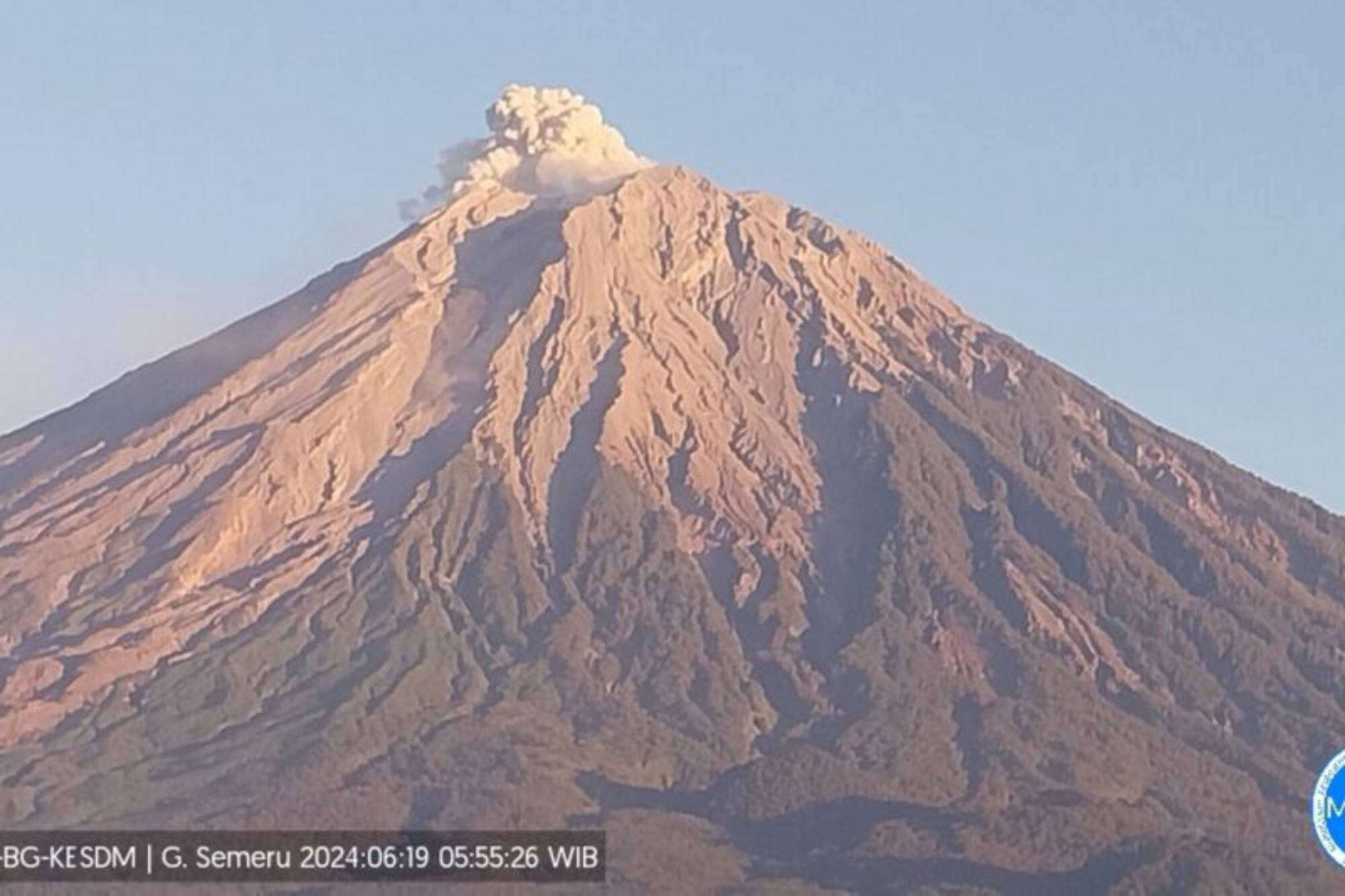 Tinggi Letusan dari Erupsi Gunung Semeru 600 Meter di Atas Puncak