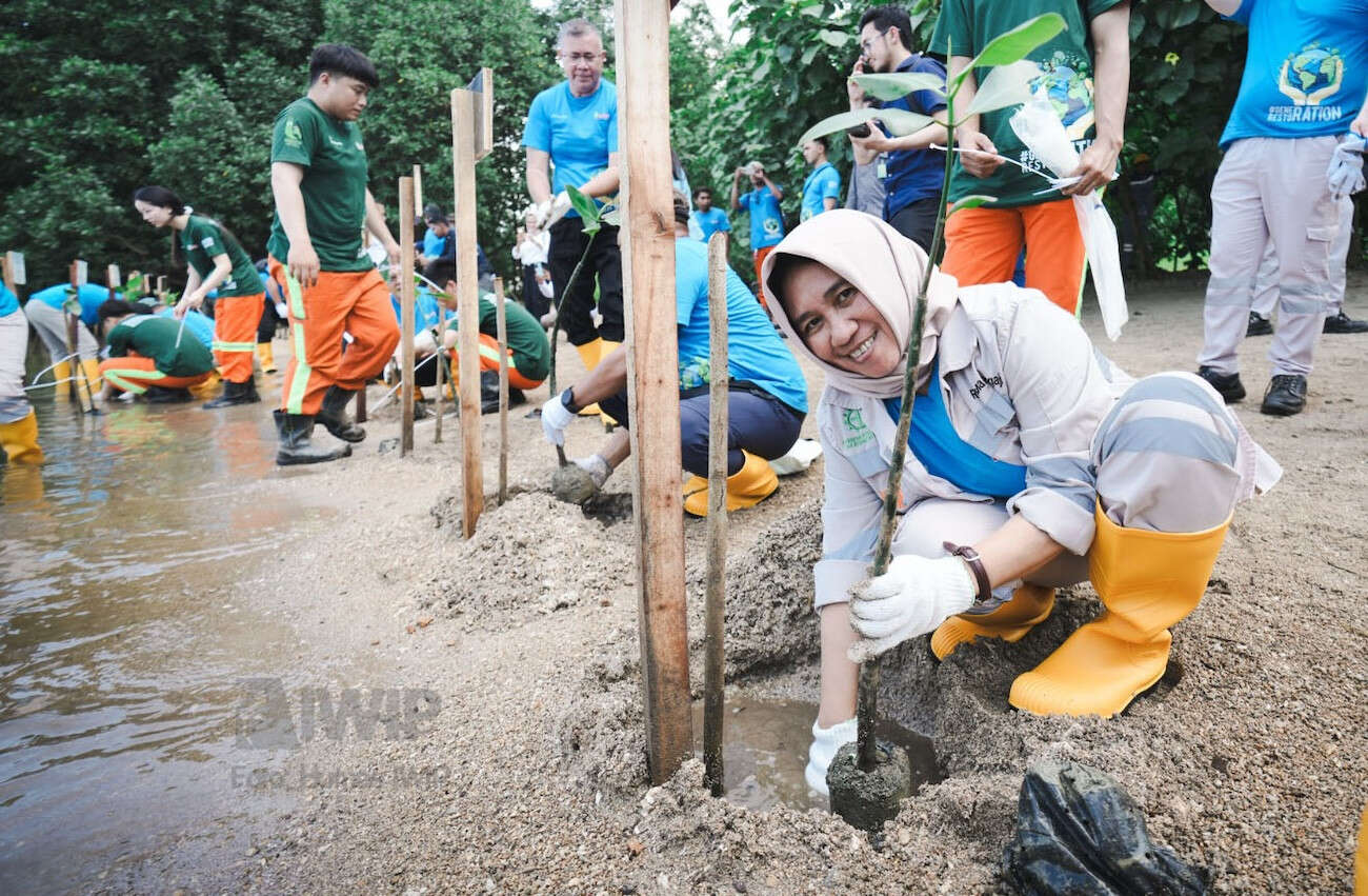 Weda Bay Project Tanam Satu Juta Mangrove di Maluku Utara