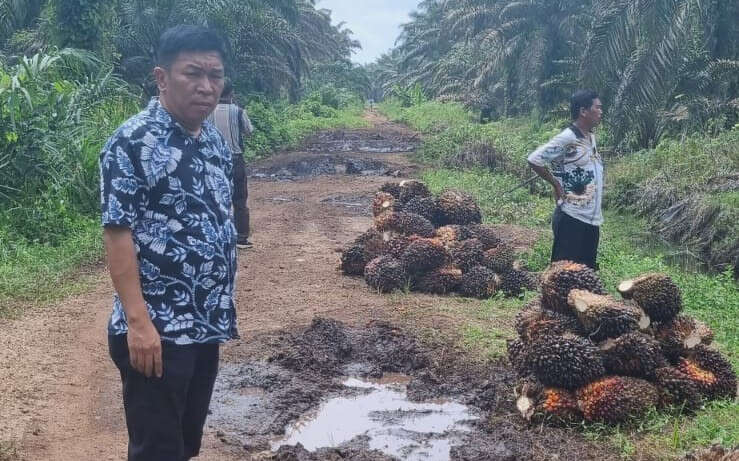 Konflik Lahan di Kampar Makan Korban, Kelompok Tani RSA Tagih Janji KLHK