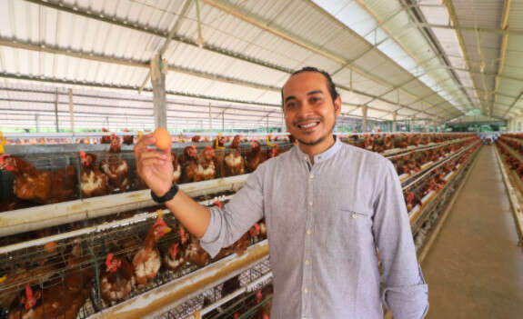 Tips Bagi Anda yang Ingin Beternak Ayam Kampung