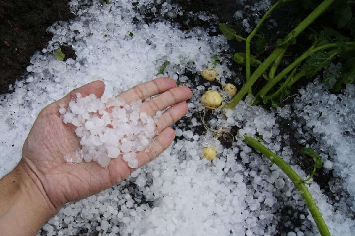 Setelah di Solo, Fenomena Hujan Es Juga Diprediksi Melanda Kota Semarang