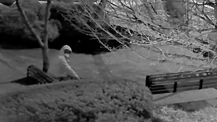 Video: Suspect plants pipe bombs day before Capitol riots