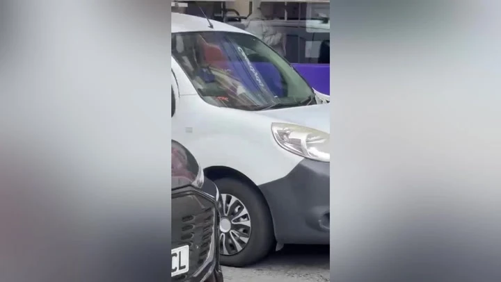 Woman gets revenge on catcaller by reporting his untaxed van