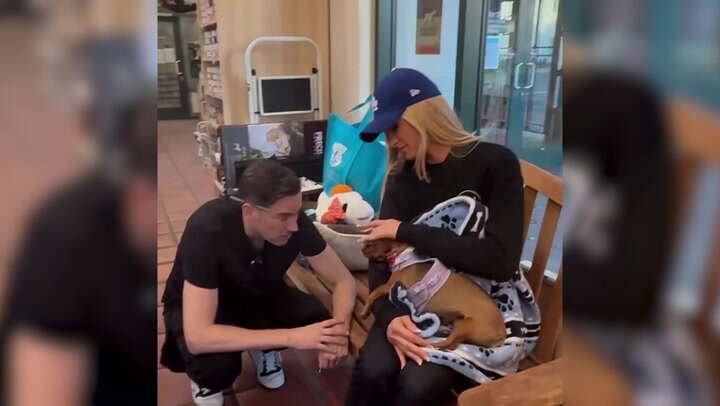 Paris Hilton fosters dog displaced by Los Angeles wildfires