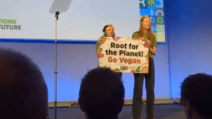 Watch: Protesters dressed as carrots storm stage at NFU conference