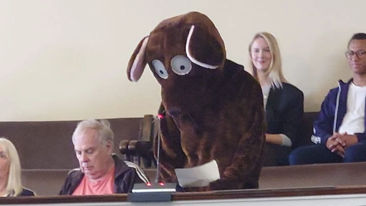 Man dressed as giant rat interrupts Birmingham City Council meeting
