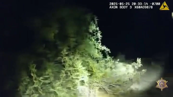 Watch: Police pull man from Arizona river in dramatic nighttime rescue