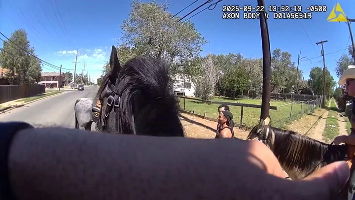 Suspect takes flees after being told police horse can smell drugs