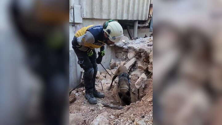 Sniffer dogs search Saydnaya prison after Assad family regime toppled