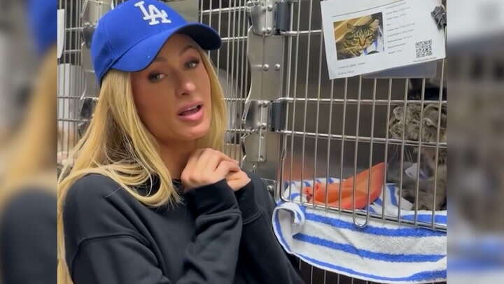 Paris Hilton volunteers at LA pet shelter after wildfires destroy home