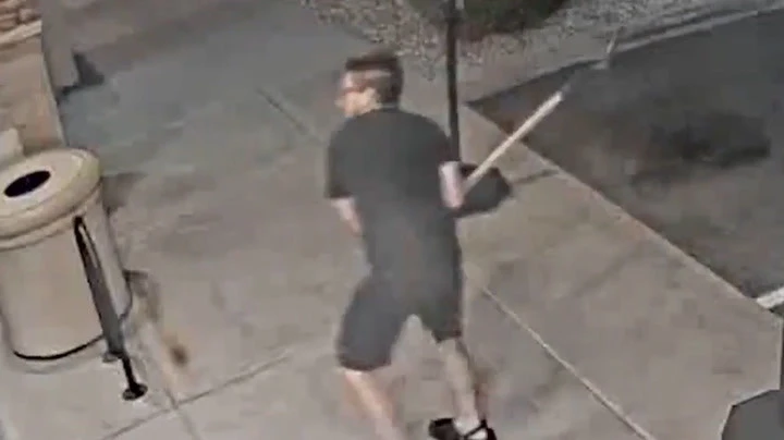 ‘Croc bandit’ captured by police after criminal damage to businesses