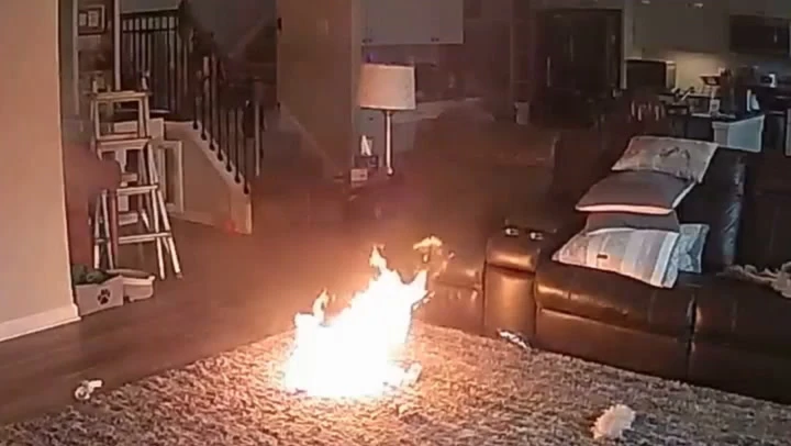 Dog starts house fire after chewing on lithium battery