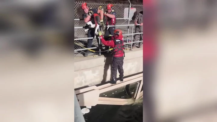 Dog trapped in rapid waters clings to aqueduct for survival