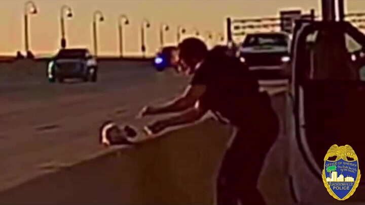 Watch: Heroic police officer rescues cat stranded on busy bridge