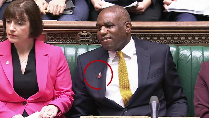 Moment Lammy puts poppy on midway through PMQs