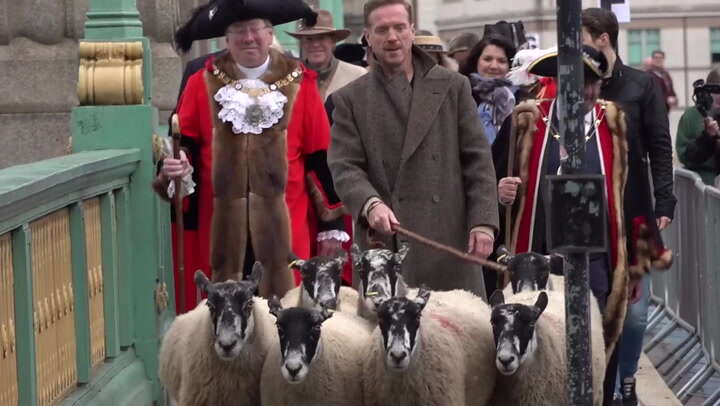 Hollywood star herds sheep across Southwark Bridge