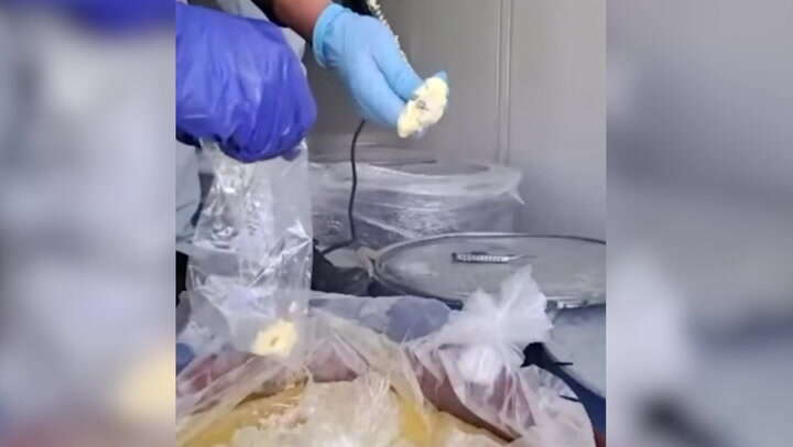 Sixteen tonnes of cocaine found hidden in frozen fruit