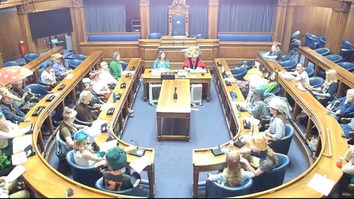 Nature campaigners in animal costumes take over council session