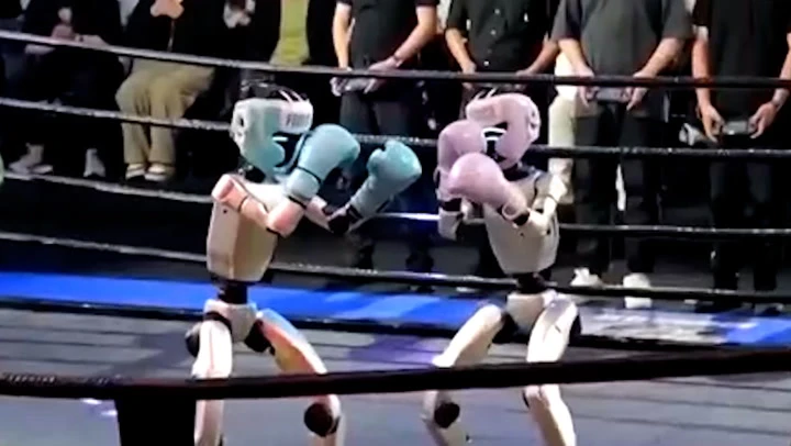 World’s first humanoid robot kickboxing tournament held in China