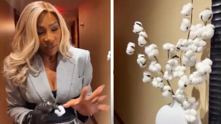 Serena Williams speaks out over cotton plant as decoration in hotel