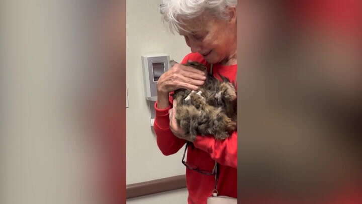 Owner’s tearful reunion with cat two months after deadly LA fires