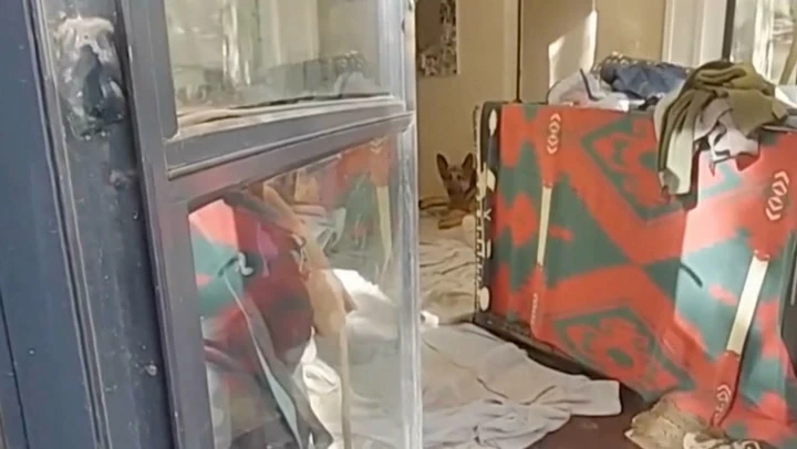 Gene Hackman police video shows dog’s heartbreaking reaction to death