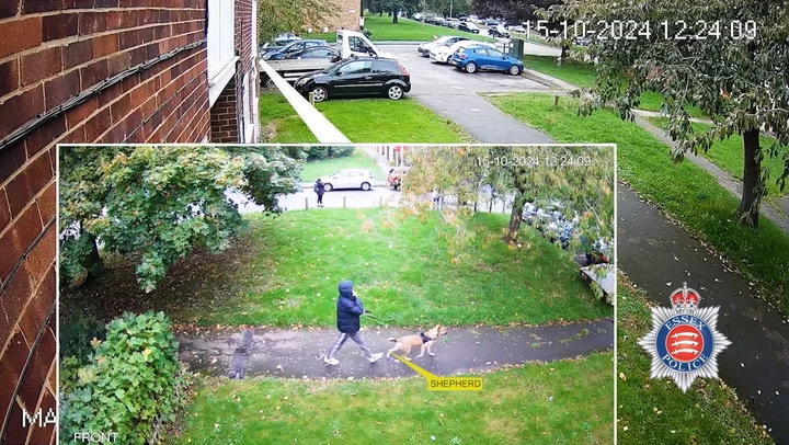Moment man walking dog chased before fatal stabbing in Essex