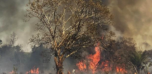 Inpe: Pantanal tem mais de 8 mil focos de incêndio no mês; 2020 é pior ano