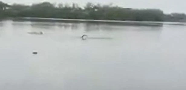 Homem morre após ser atacado por crocodilo em lago no México; assista