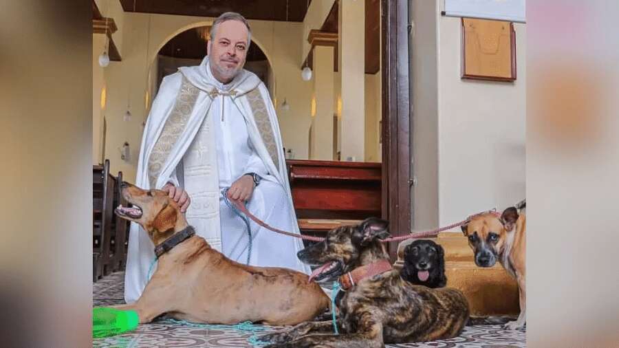 Padre põe pets para adoção em missa: 'São mais puros do que muitas almas'