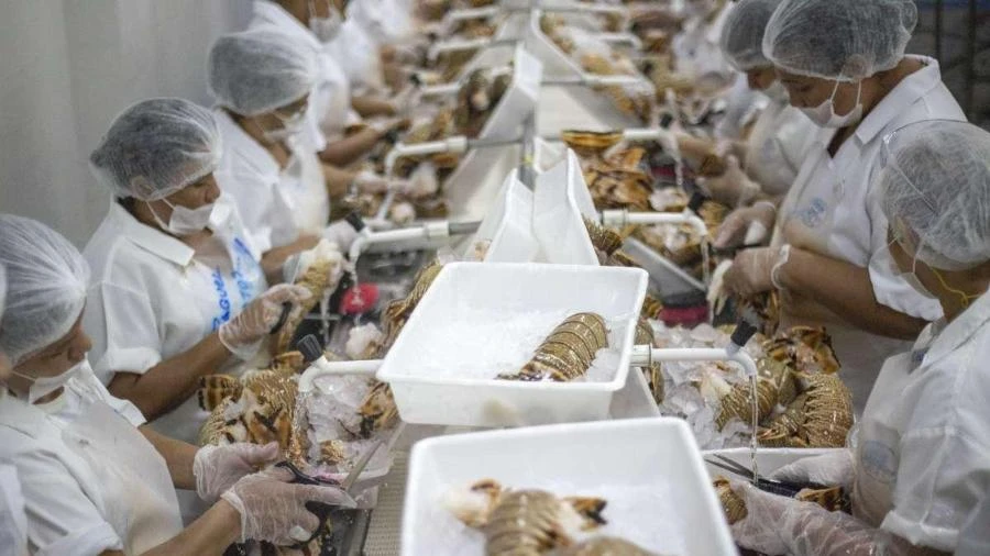 Tarifa de 37,5% dos EUA ameaça mais de 4.000 produtos brasileiros, diz CNI