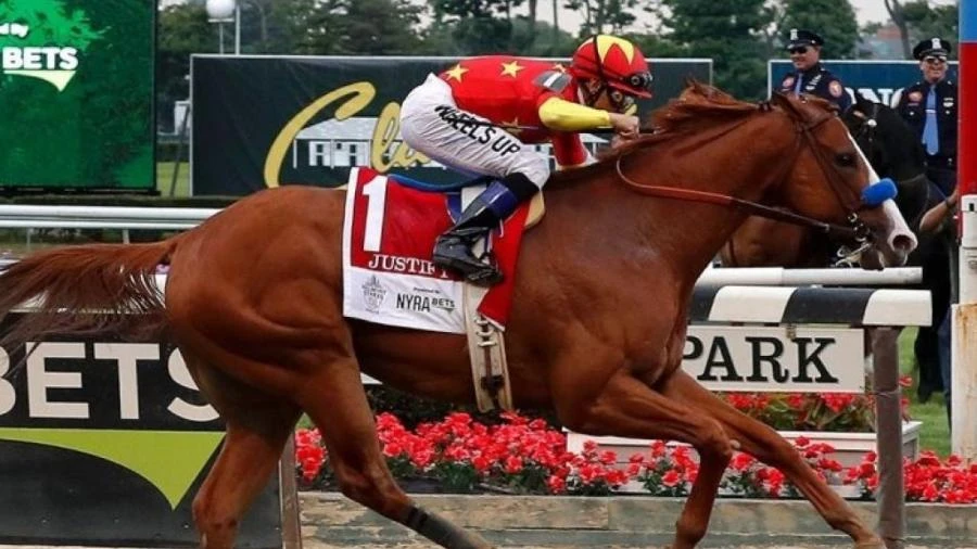 R$ 440 milhões e já aposentado: este é o cavalo mais caro do mundo