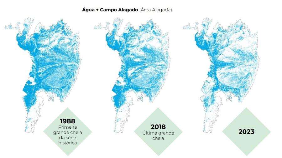 Área alagada do Pantanal cai 39% em 5 anos, diz estudo: 'sinal alarmante' Carlos Madeiro