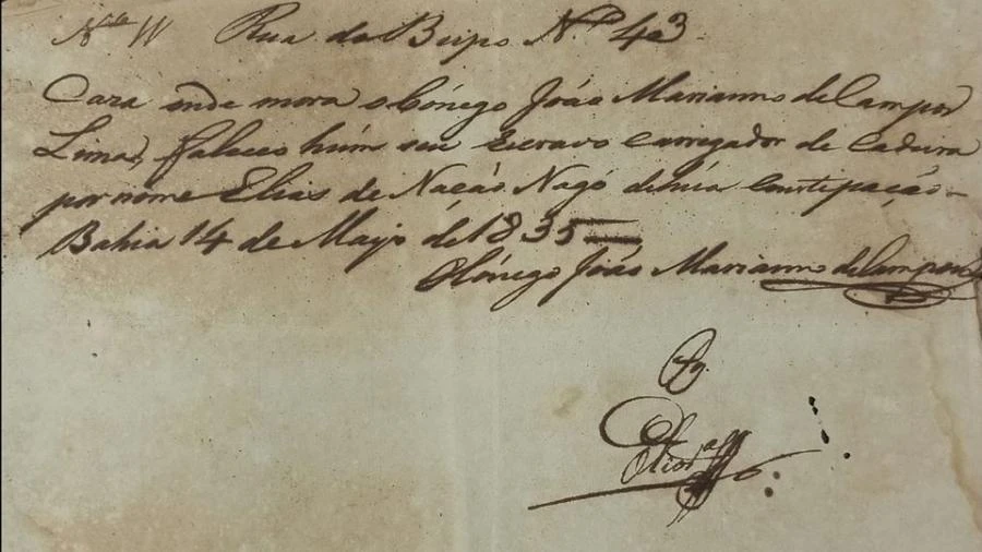 Escavação busca cemitério que sumiu há 200 anos com 100 mil mortos na Bahia Carlos Madeiro