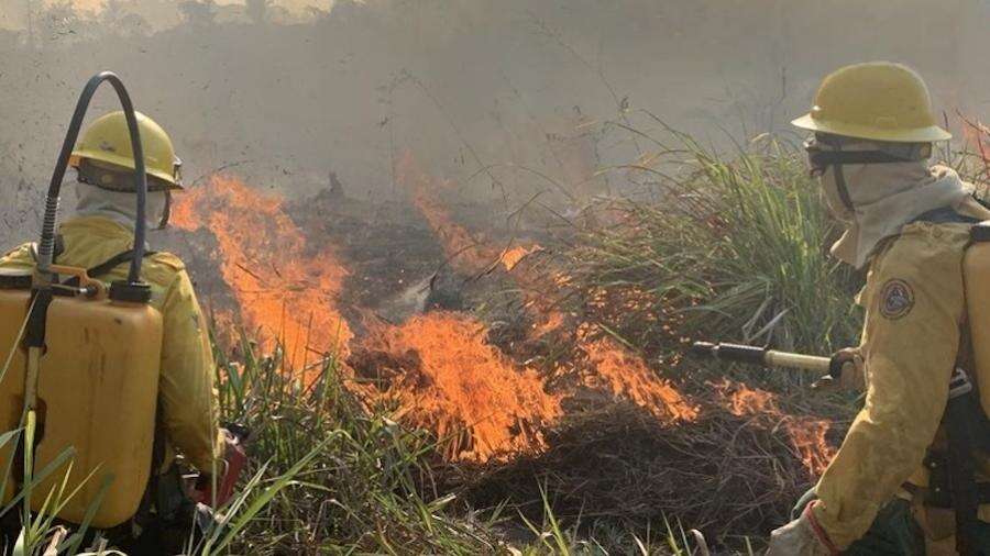 Brasil diz na ONU que incêndios mostram que ação terá de ser intensificada Jamil Chade