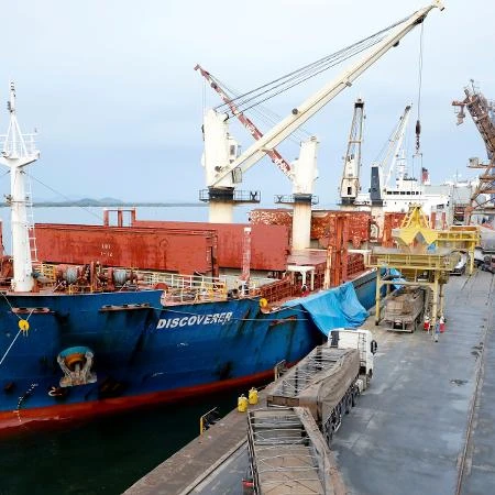 Gripe: exportadores redirecionam carne de aves a outros países, diz ABPA
