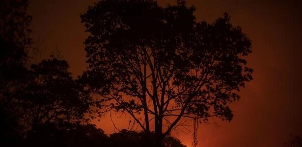 ONGs apontam lentidão do governo em lidar com incêndios no Pantanal