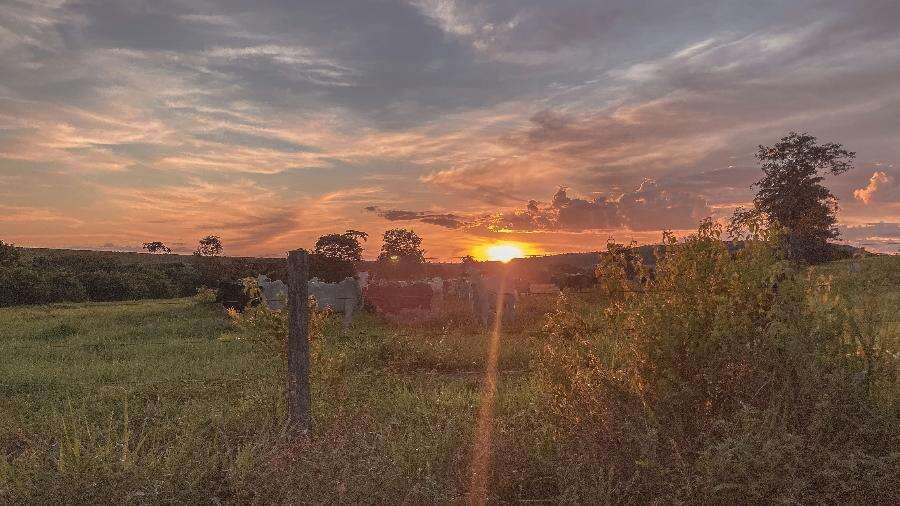 Seis (ou mais) assuntos que o agro deverá acompanhar em 2025 Mariana Grilli