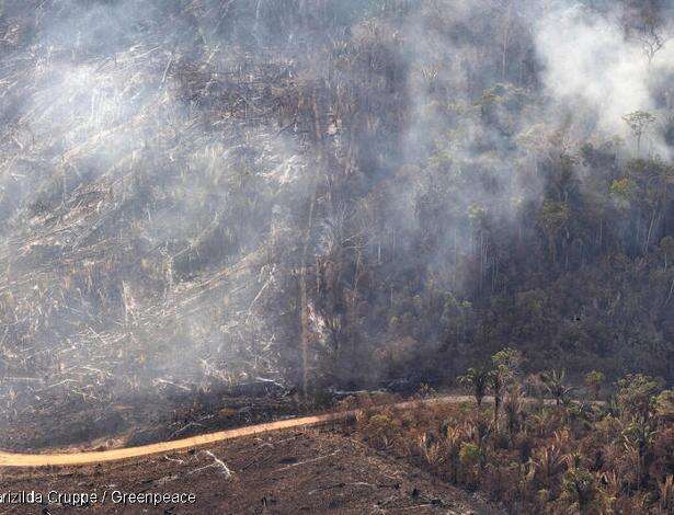 Fotos aéreas do Greenpeace documentando queimadas na Amazônia lembram a emergência da crise climática