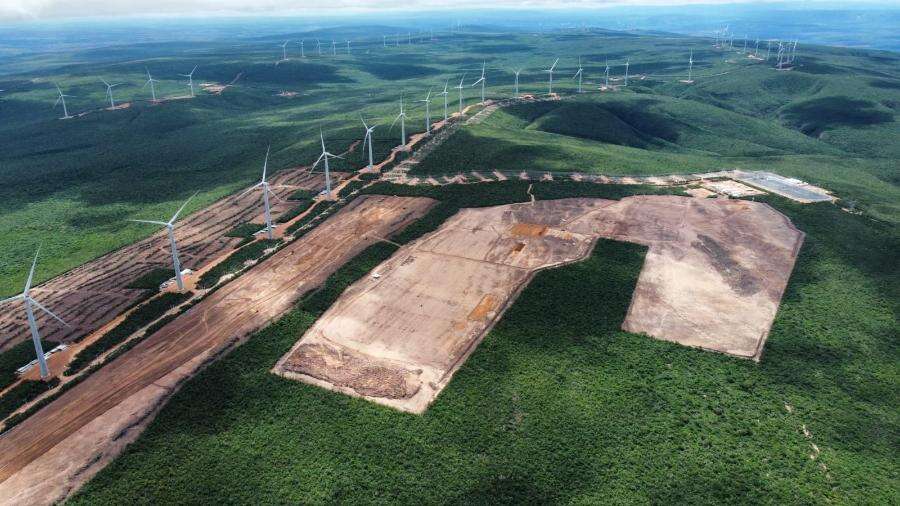 Obra para colocar 282 mil painéis solares desmata Caatinga e é alvo do MP Carlos Madeiro