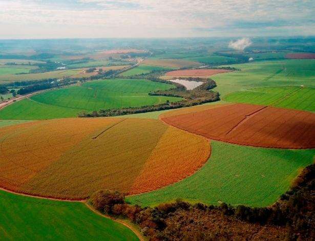 TV Cultura celebra o Dia Mundial da Agricultura com exibição de documentário inédito nesta quarta (19)