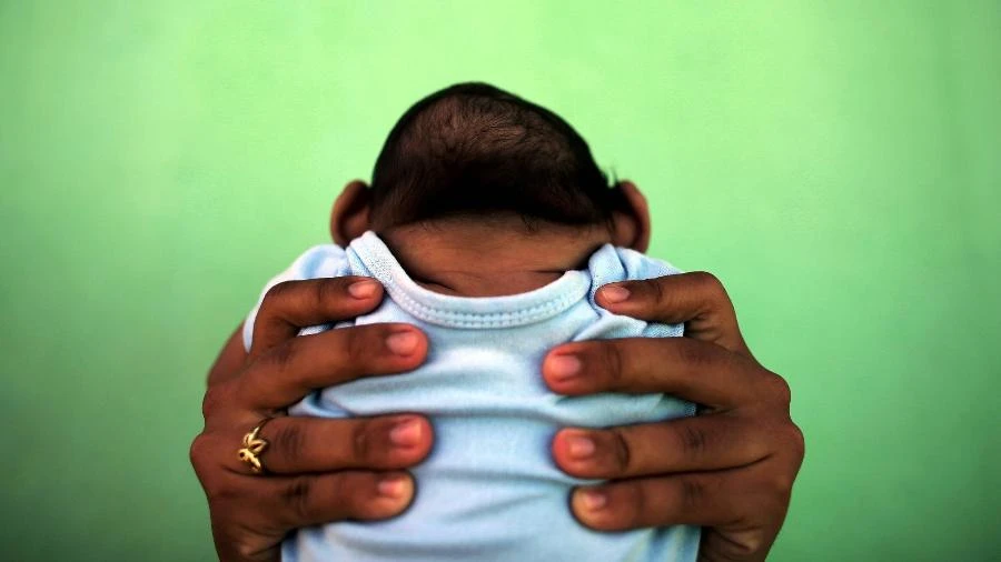 'É situação de paz não verdadeira', diz pesquisador sobre zika no Brasil