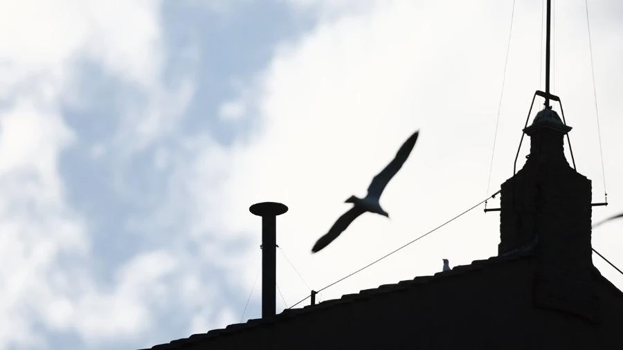 Quando surgiu a fumaça branca e como ela virou tradição nos conclaves