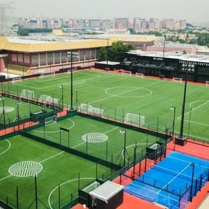 Global Institute of Sport: veja 3 bolsas de estudo em esportes