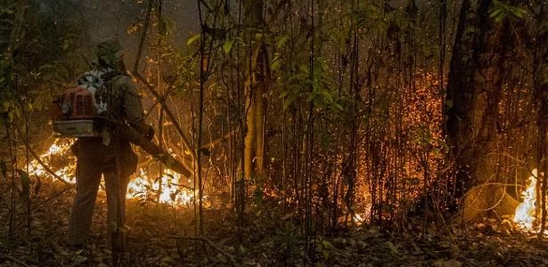 Secretário nacional de Defesa Civil nega inércia no Pantanal