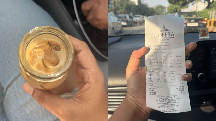 Cliente diz que achou barata em café gelado na Índia: 'Pensei que era grão'