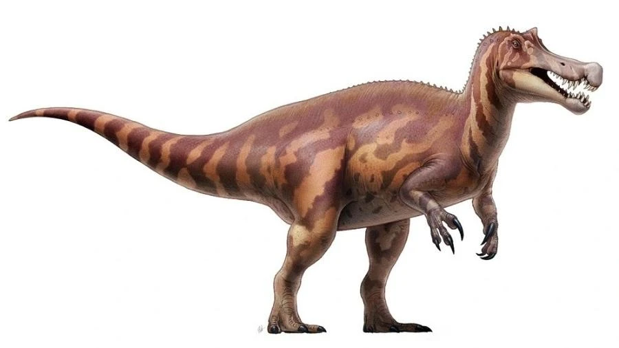 Brasil cobra da Alemanha devolução de fóssil roubado de dinossauro cearense Carlos Madeiro