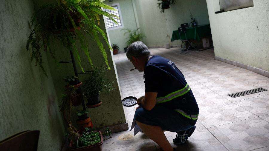 21 cidades de SP estão com emergência por dengue; só 9 receberam vacinas