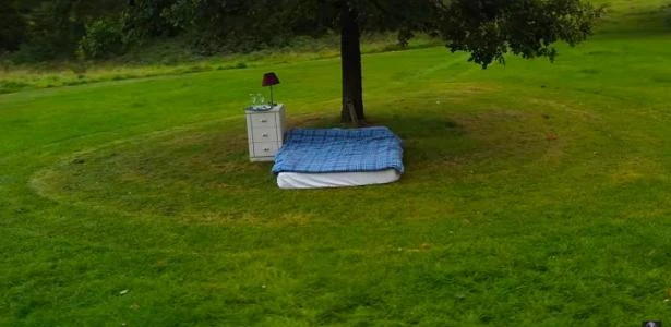 Trio tenta criar pior hospedagem no Airbnb. E se surpreende com reservas