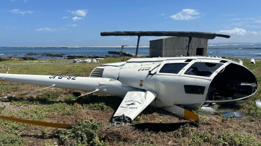Pinguim em caixa esbarra em comando e derruba helicóptero na África do Sul